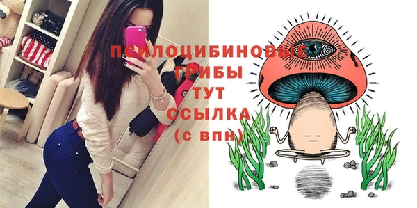герыч Пестово