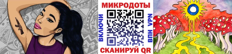 Галлюциногенные грибы Cubensis  Саратов 