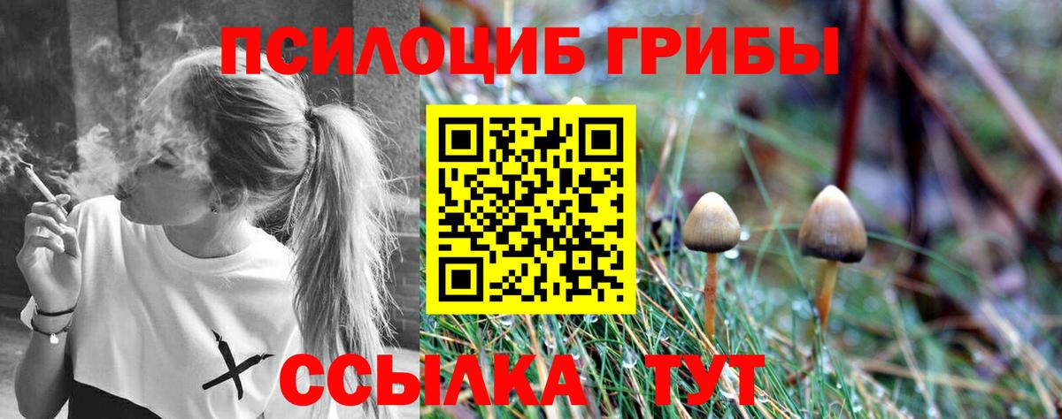Галлюциногенные грибы Psilocybe  Псилоцибиновые грибы прущие грибы  Саратов  Вход с VPN 